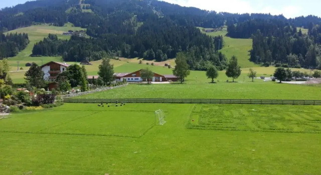 Номер Standard Hotel Alpenhof