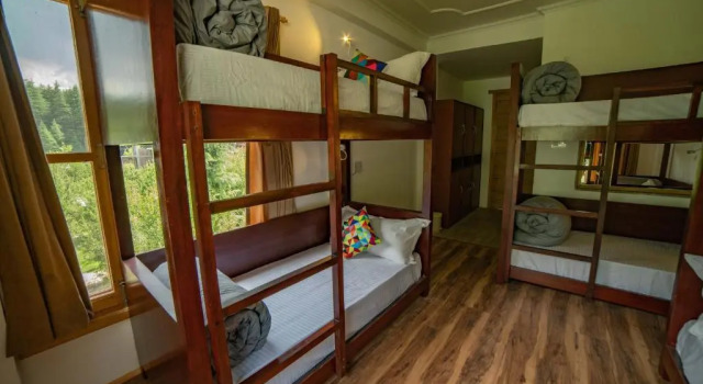 Кровать в общем номере (женский номер) Alt Life Manali, Old Manali