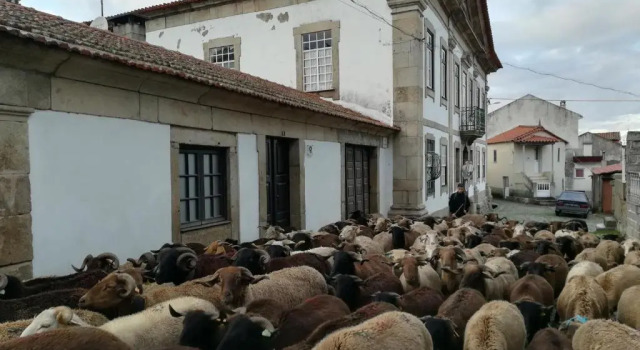 Коттедж c 1 комнатой с красивым видом из окна Casa Grande - Casas de Campo na Serra da Estrela