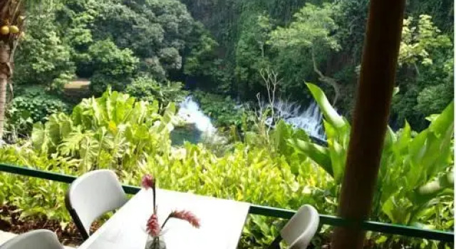 Nace El Rio, Book Hotel Actopan Veracruz
