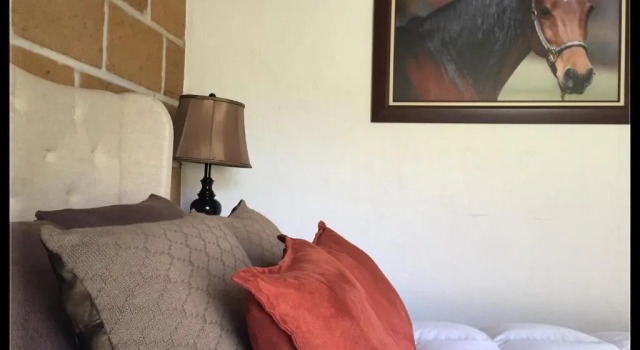 Семейное бунгало Cabañas Rancho San Jorge