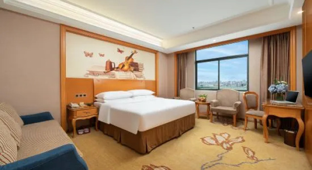 Семейный люкс Vienna Hotel (Nanning Anji Wanda 33rd Middle School Subway Station)