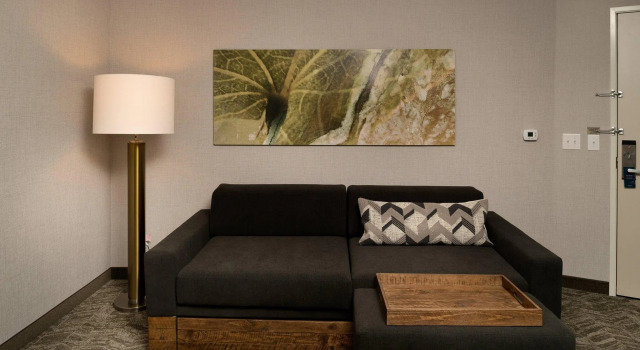 Четырёхместный люкс SpringHill Suites by Marriott Austin Cedar Park
