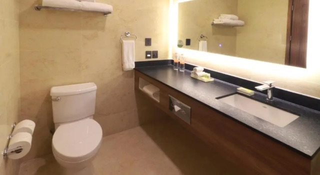 Номер Standard Holiday Inn & Suites Puerto Vallarta Marina & Golf