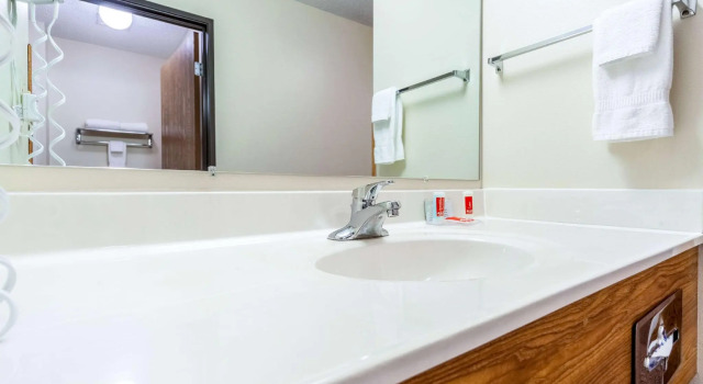 Люкс Econo Lodge Sioux Center