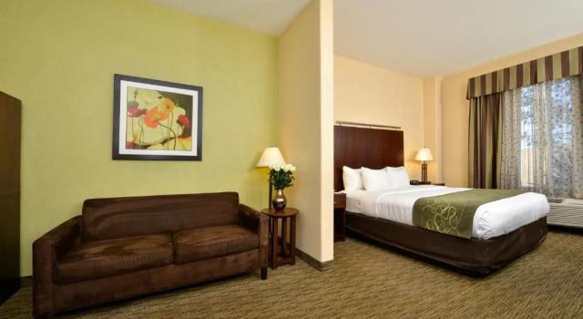 Люкс SpringHill Suites by Marriott Turlock