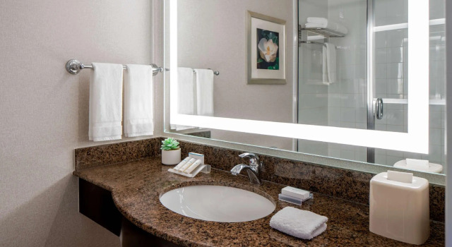 Двухместный номер Standard Hilton Garden Inn Jackson Downtown