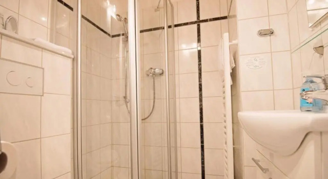 Одноместный номер Economy Hotel-Pension Am Böhmepark