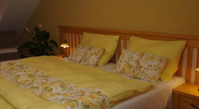 Номер Superior Hotel a restaurace Palfrig