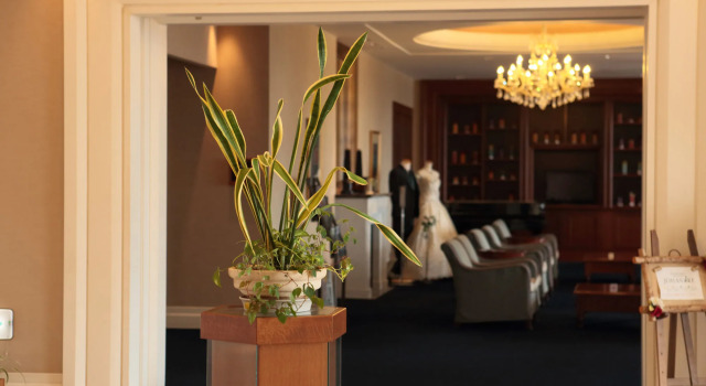 Satoyama Auberge & Hot Spring Wellness Spa Sakuragaike Kurgarden, Buchen Sie Hostel Nanto 