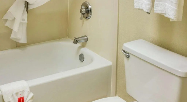 Номер Standard Econo Lodge Palm Coast Central