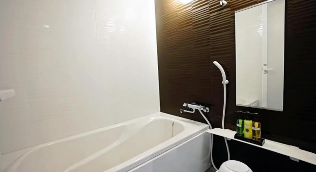 Номер Deluxe Lagent Hotel Osaka Bay