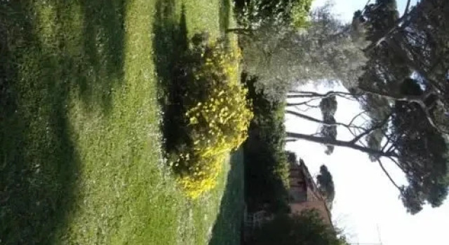 Casale delle Mimose, Boek Hotel Hotels in Lazio met ontbijt, Ontbijt