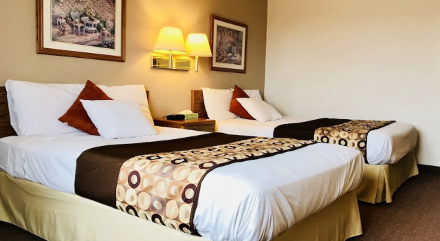Номер Economy STAY INN Burlington