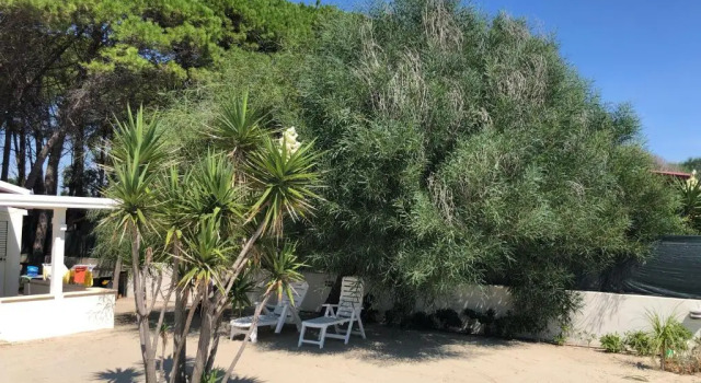 Коттедж с 2 комнатами GIGLIO DI MARE Residence