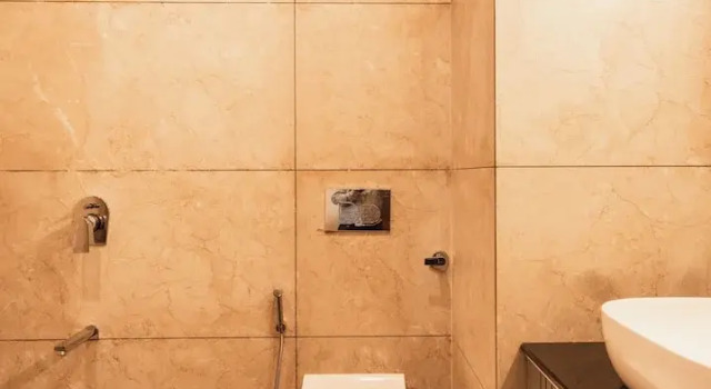 Номер Royal Trideus Chandseena Valley Resort