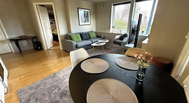 Aurora Borealis Apartment - Sleeps 3 - Parking