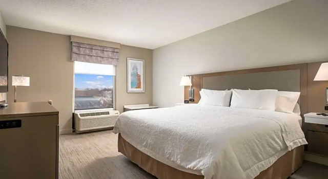 Suite doppia 1 camera da letto Hampton Inn - Springfield
