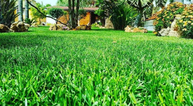 Номер Standard Villa Concordia