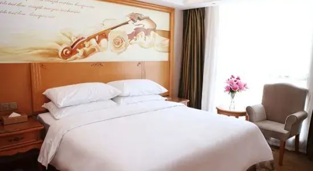 Люкс Vienna Hotel (Wuhan Wujiashan Economic Development Zone)
