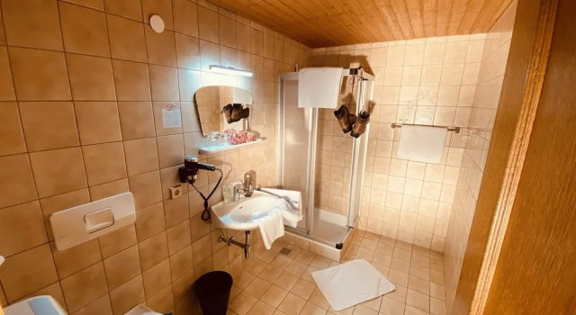 Трёхместный номер Economy с балконом и с видом на горы Hotel Standlhof Zillertal