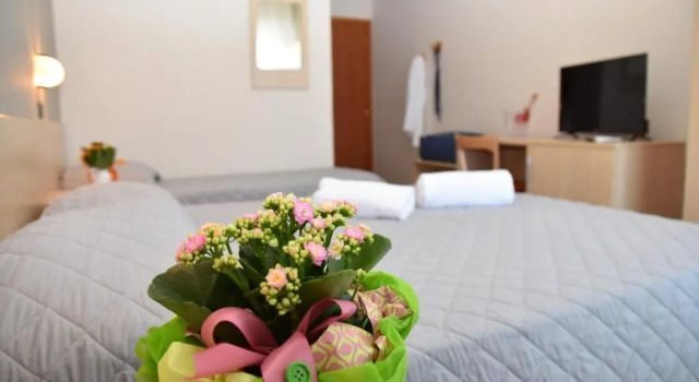 Номер Standard Hotel Excelsior