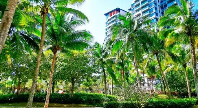 Wenchang Eggshell Homestay, Book Hotel Hotels in Hainan with a Pool, Swimming Pool
