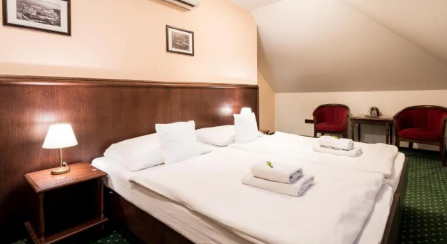 Номер Deluxe Hotel U Hejtmana Šarovce