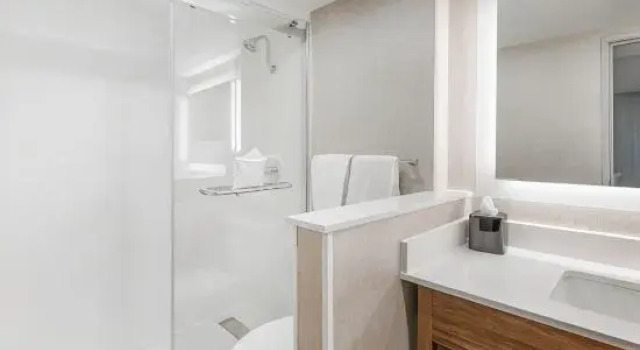 Четырёхместный люкс Sleep Inn Oakbrook Terrace - Chicago
