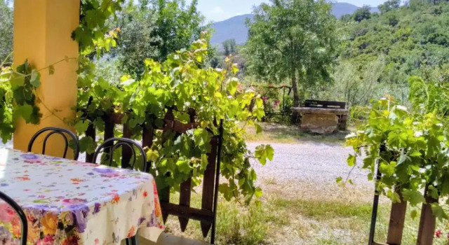 Номер Standard Villaggio dei Balocchi