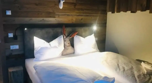 Sieglhub Chalets - Appartements - Hotel, Забронировать Апартаменты/квартира Апартаменты Флахау, рядом с Гондольный подъемник Ахтер Джет, Апартаменты/квартира
