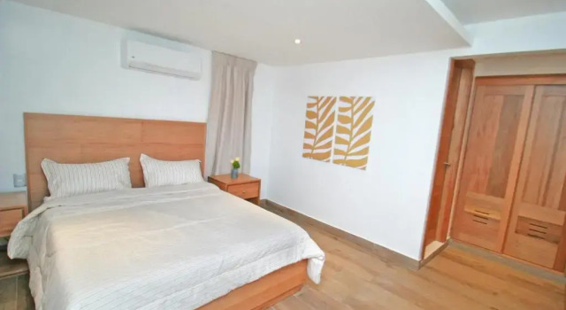 Одноместный номер Standard Palmetto Hotel