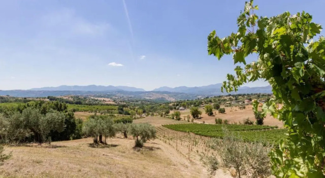 Agriturismo Torre Gialluise, Book Hotel Gesualdo Irpinia