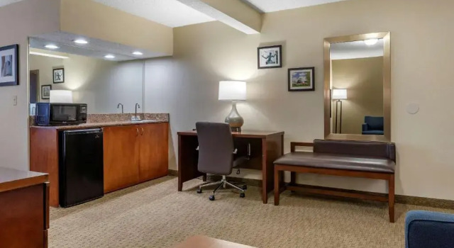 Люкс Comfort Inn Near Greenfield Village