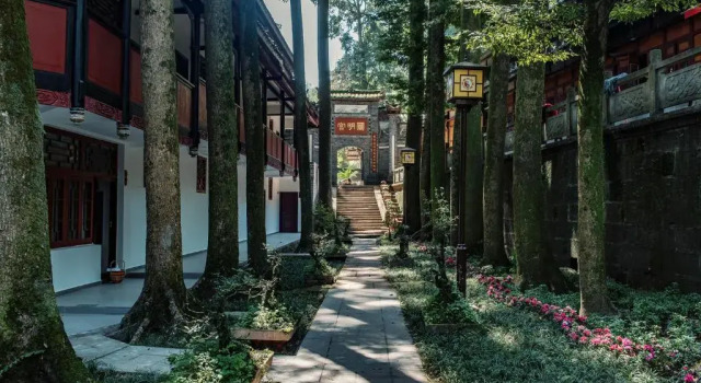 Номер Standard Qingchengshan Yuanming Palace