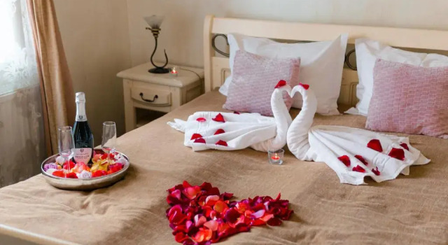 Двухместный номер Small Hotel Carol - Vatra Dornei