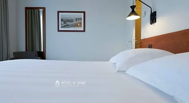 Номер Comfort Hotel De Diane