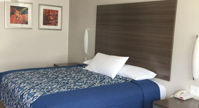 Номер Standard Palace Inn Gulfgate