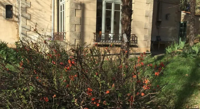 Villa Delphina, Rezerwuj Willa Domki letniskowe w Pyrénées-Orientales, Domek
