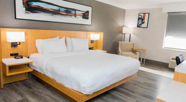 Двухместный номер Standard Delta Hotels by Marriott Columbia Northeast