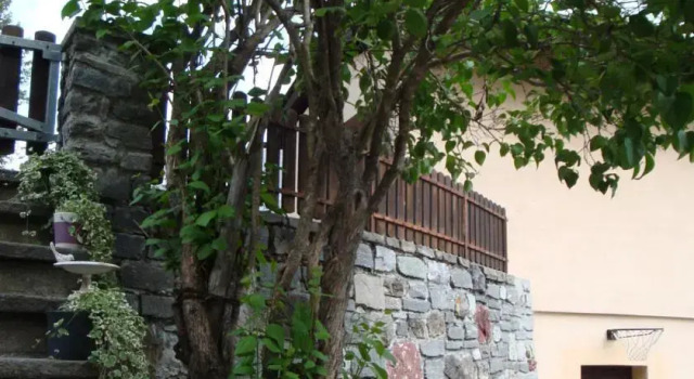 Casa Suliva, Book Hotel Arosa Grisons