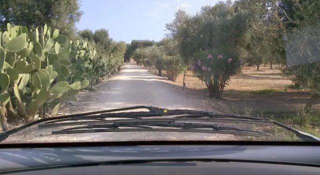 Апартаменты Masseria Asciano