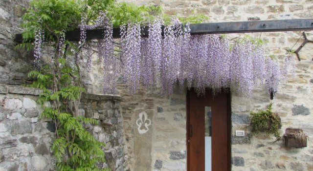 B&B Dagnano Basso, Book Bed and Breakfast Pieve Santo Stefano 