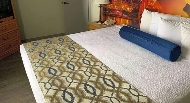 Номер Standard Luxe Studios Nashville Opryland