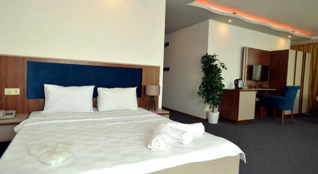 Двухместный номер Deluxe TEVETOGLU HOTEL