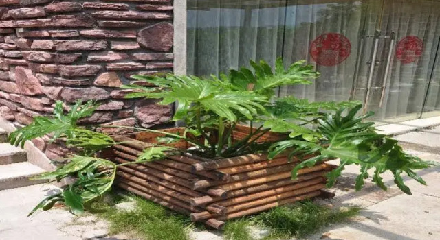 Wuyishan Tujia Sweetome Apartment Wuyi Shuizhuang, Reserva ahora Apartamento Wuyishan Fujian