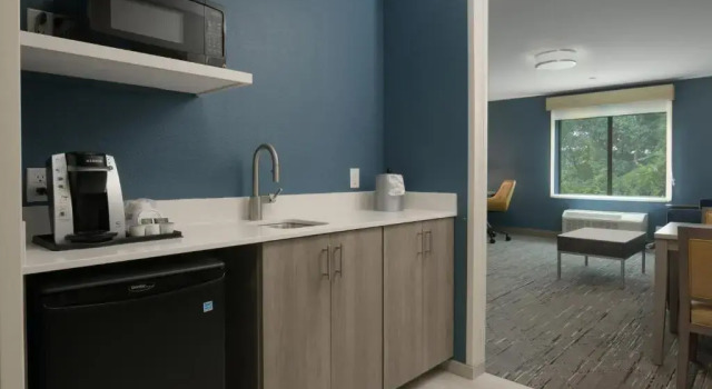 Двухместный люкс c 1 комнатой Holiday Inn Express & Suites - Williamstown - Glassboro by IHG