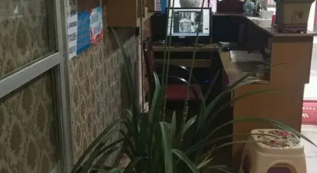 Zhenxiong Yixin Hotel, Rezerwuj Hotel Zhaotong Yunnan