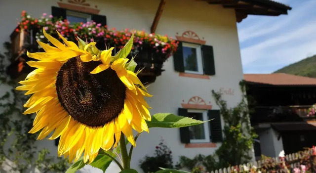 Номер Standard Sule Hof Agriturismo