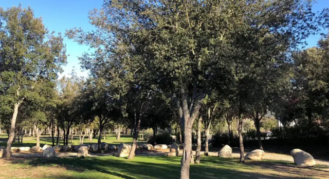 Вилла Domaine de Bracciole